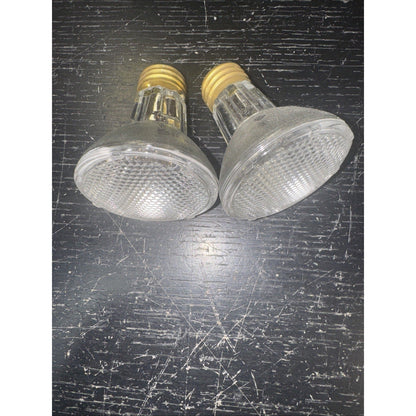 Replacement Bulb 50PAR20/H/FL, 120V 50W (2-Pack)