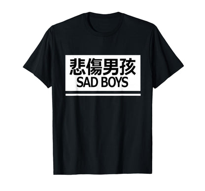 Sad Aesthetic Vaporwave Chinese Text T-Shirt - Novelty Apparel for Adults