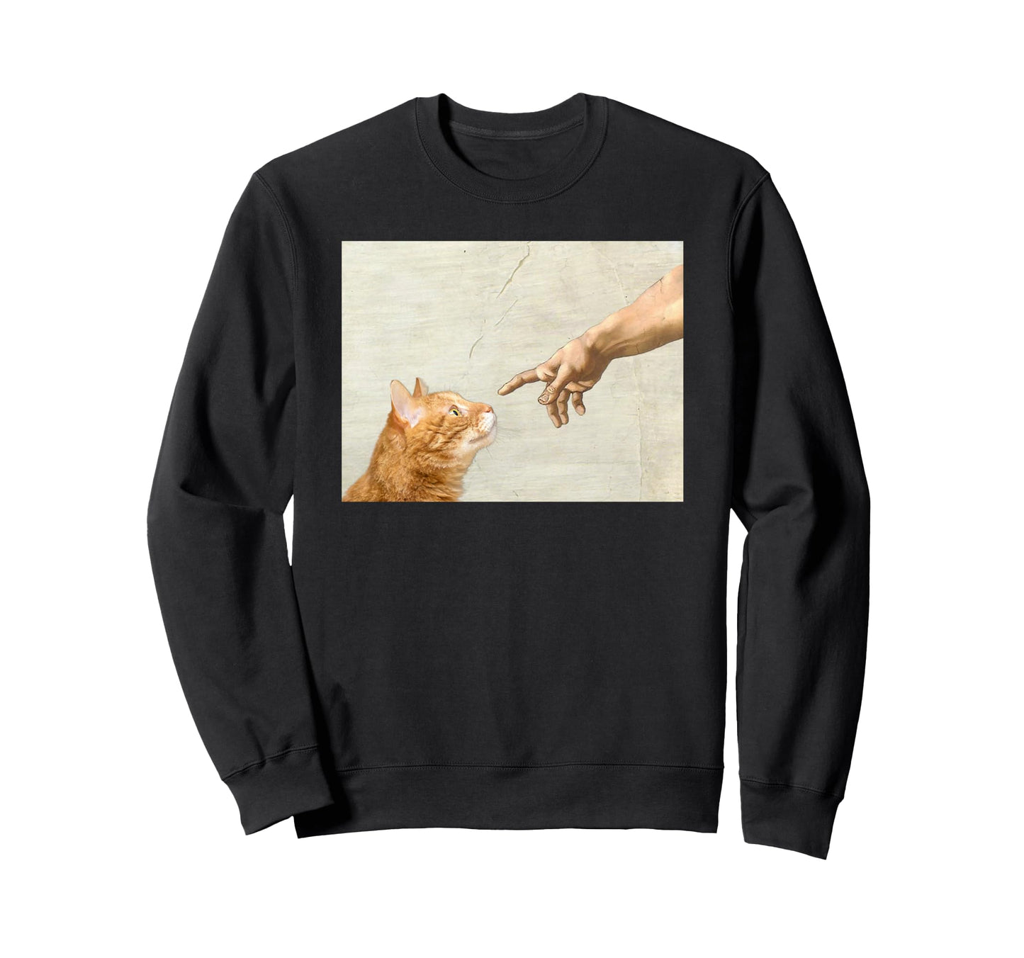 Aesthetic Funny Cat Art Y2K Teen Sweatshirt - Streetwear Style for Adults