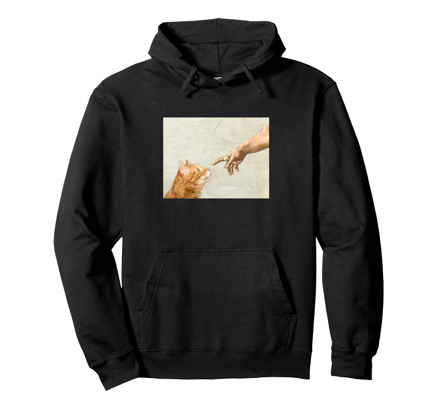 Indie Aesthetic Michaelangelo Hoodie - Fun Novelty Design Men Women