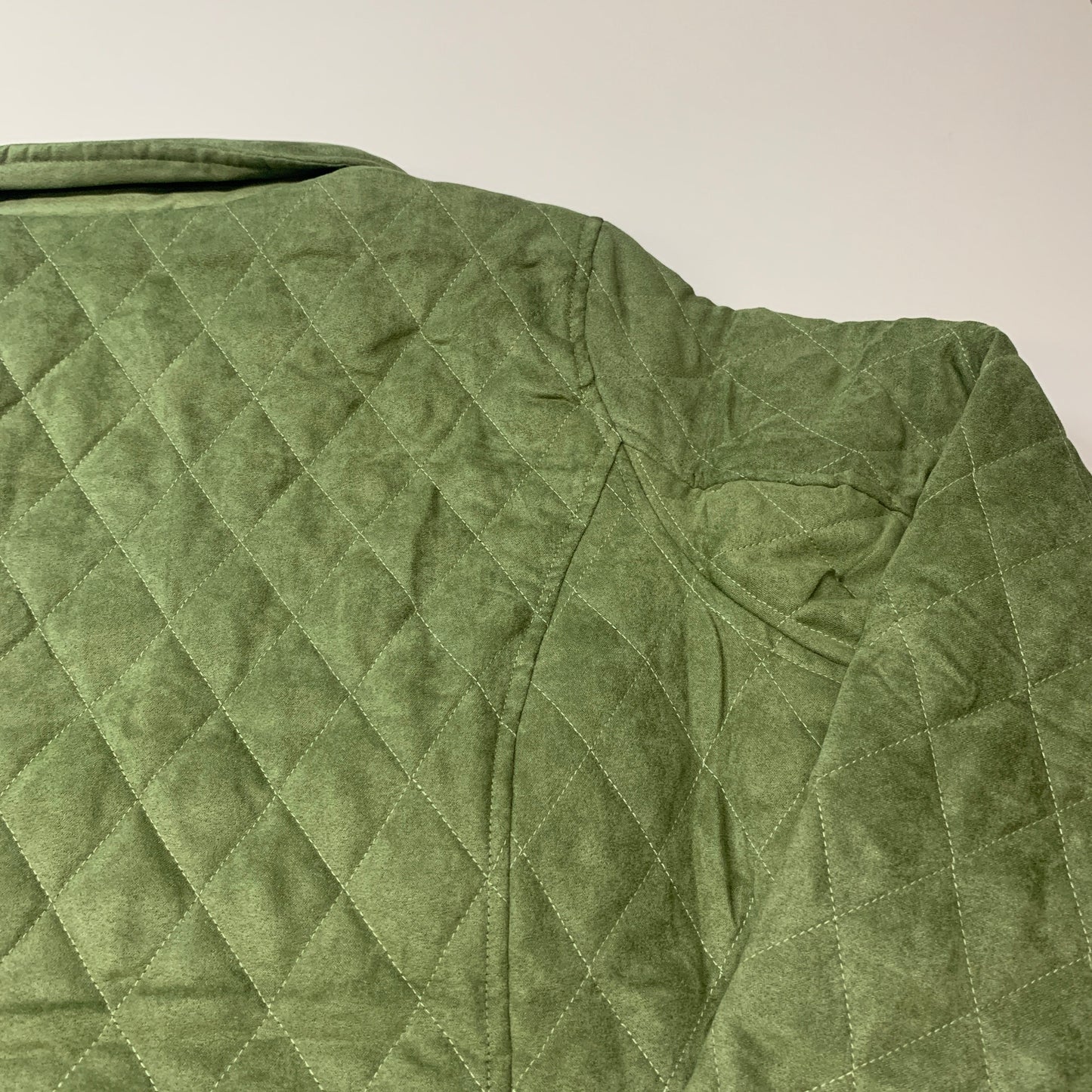 BRIDGE HAMPTON ISSAC MIZRAHI LIVE! Faux Suede Coat Full Snap Up Basil Size 5X