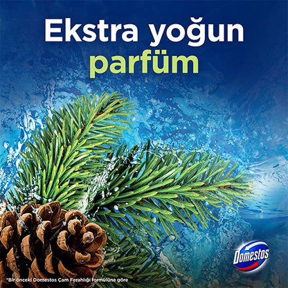 Domestos Toilet Block Pine Forest 100g - Maximum Freshness and Hygiene