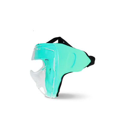 VLACK ADULT FACEMASK FULL PROTECTION
