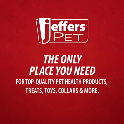 Jeffers Pet Captivating Citrus All-Natural Flea Bite Relief Shampoo for Dogs and Cats