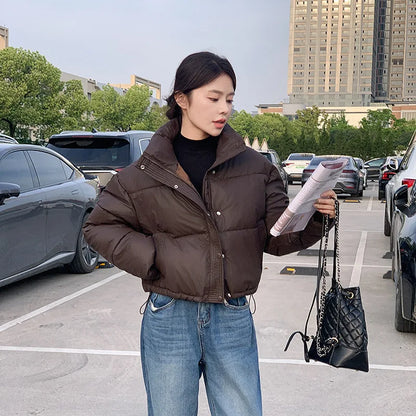 Women Winter Cropped Jacket – Warm Cotton-Padded Puffer Coat