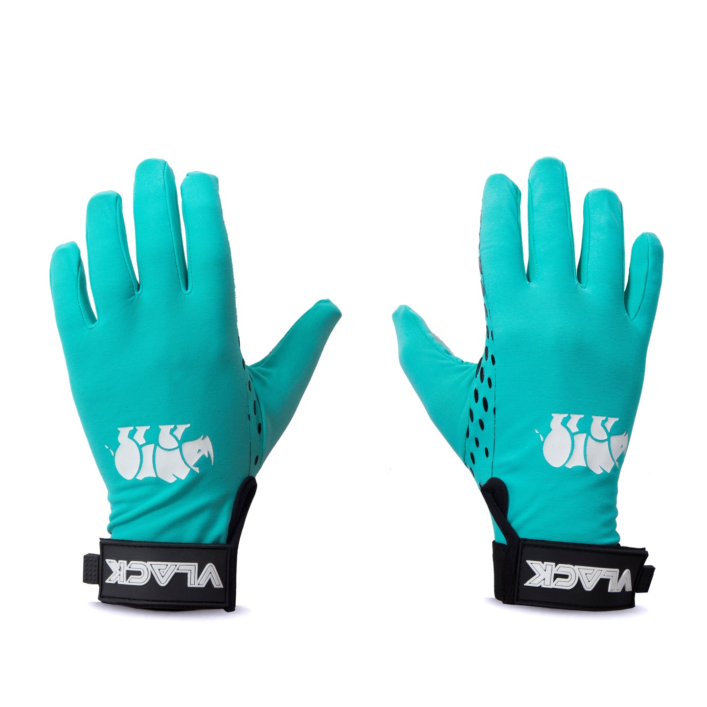 WINTER GLOVE