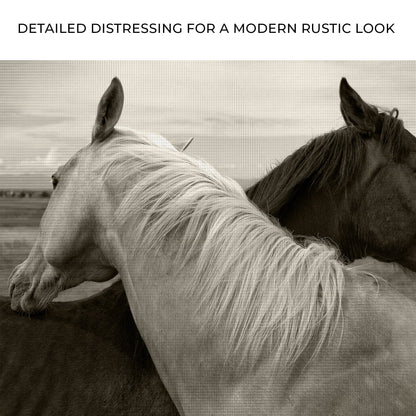 Monochrome Couple Horse Canvas Wall Art