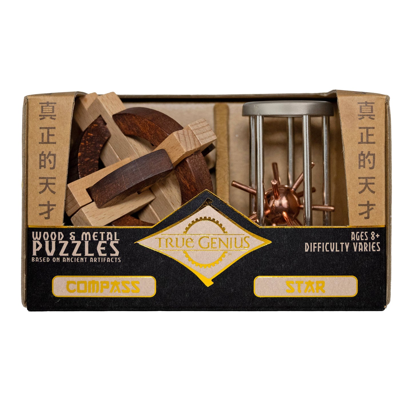 Compass and Star Brainteaser Puzzle
