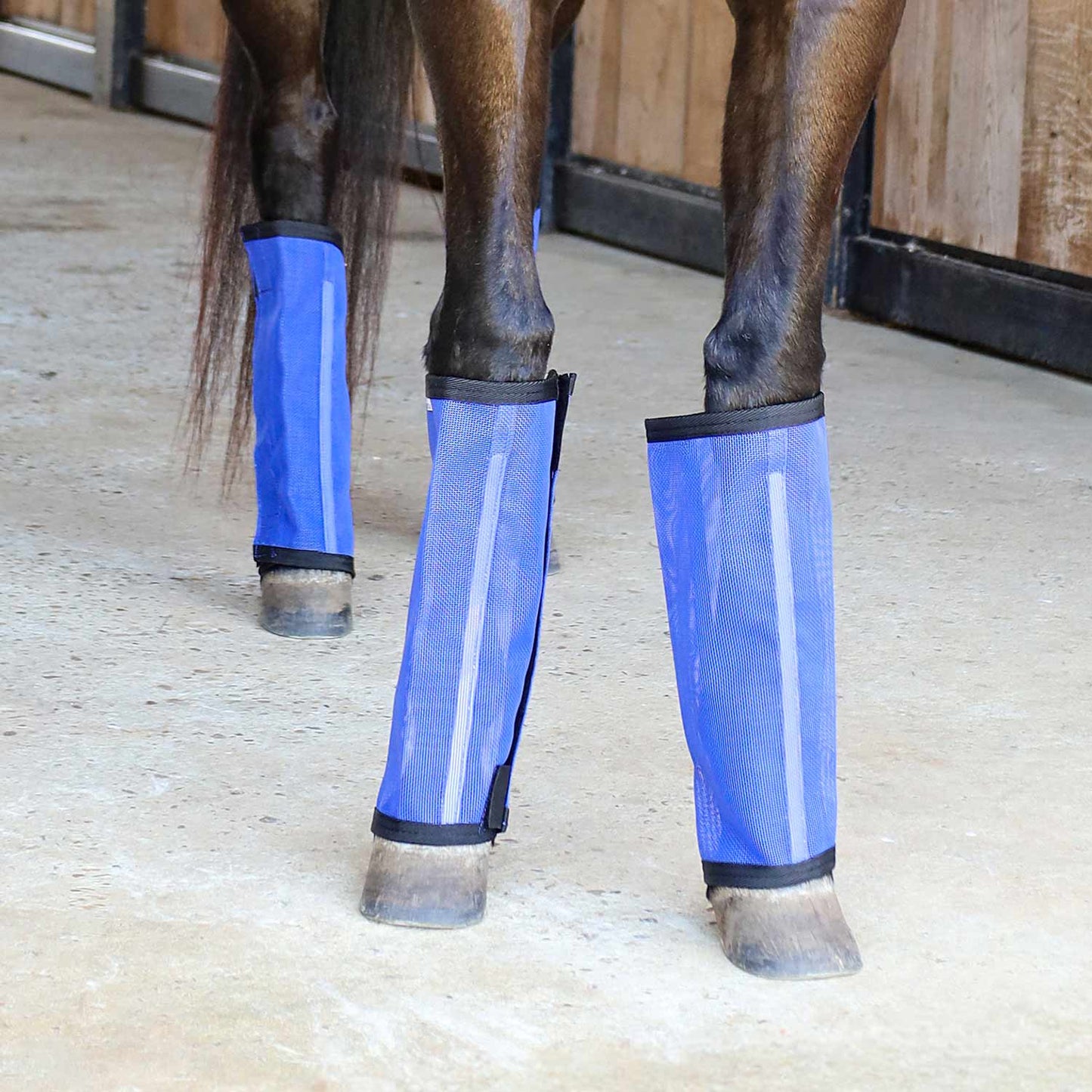Jeffers Romper Stomper "Stomp-Free" Fly Boots for Horses, 4 pack