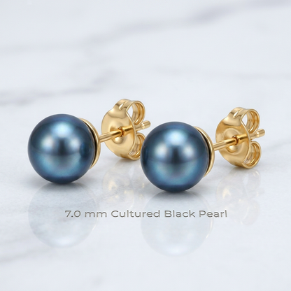 14k Yellow Gold Cultured Black Pearl Stud Earrings (7.0 mm)