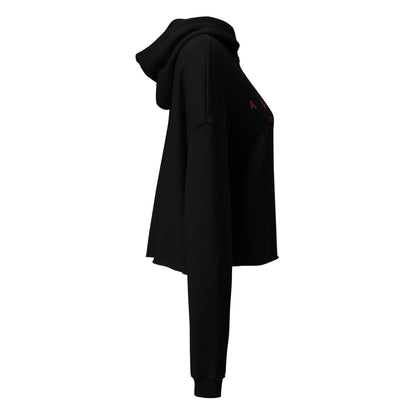 Aftrz Embroidered Crop Hoodie
